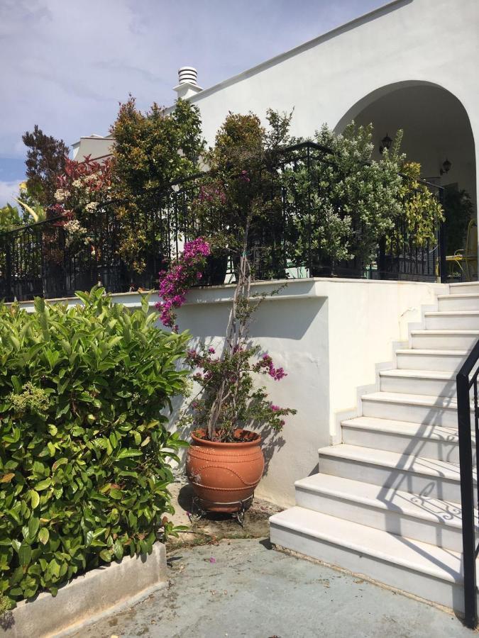 Sunny Sea House Villa Rafína Buitenkant foto